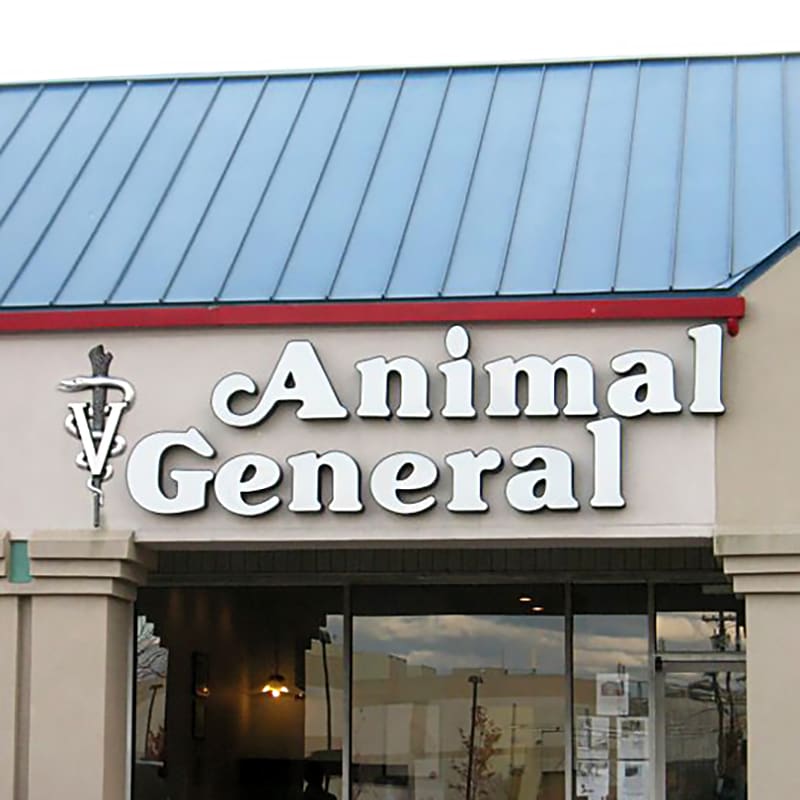 Animal General in Edgewater